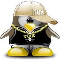 Quelle chanson n'est pas du rap ?