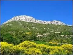 ''Elle n'était pas ma voisine 
Elle vivait dans les collines 
Là-haut, rue des Aubépines 
Je n'étais pas fier-à-bras 
Et chez nous il faisait froid 
En bas ... ''