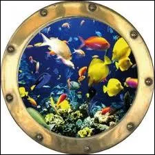 ''Le soir, quand les murs se rapprochent 
Quand j'me sens sous-marin 
Je casse les hublots de ma chambre 
Et je saute de mon appartement''