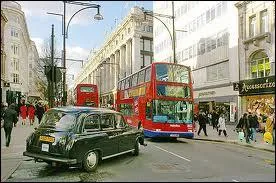 ''Mais tu sais, son âme est belle 
Dans les RUES de Londres 
J'ai puisé plus de lumières 
Qu'il n'en faut pour voir... '' 

Qui a chanté ces paroles à Bercy ?