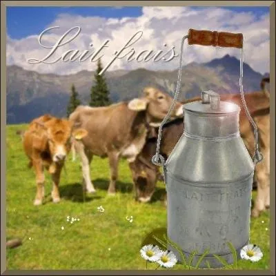 ''Avec nos bidons en fer blanc 
On descendait chercher le lait 
À la ferme au soleil couchant 
Dans l'odeur des soirs de juillet 
On avait l'âge des confitures 
Des billes et des îles au trésor''