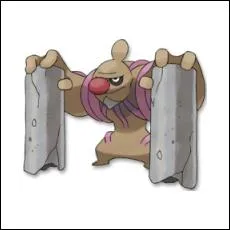 Quel est ce Pokémon ?