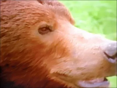 Reconnaissez-vous cette tte ?