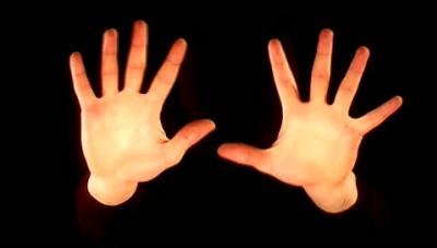 Parlons d'abord de la main, organe prhensile de l'humain. Combien y a-t-il de phalanges en tout sur les doigts des deux mains ?