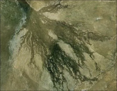 O se trouve l'Okavango ? (Un des rares fleuve  se jeter dans les terres)