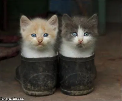 Au moyen-ge, nos anctres ne portaient pas de chaussures mais des ...