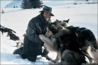Quel indien adopte et dresse Croc Blanc dans le roman de Jack London ?