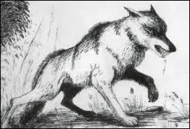 Comment se nomme les deux loups dans le Roman de Renart ?