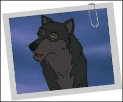 Comment se nomme ce loup, vieux chef du clan, dans   le livre de la jungle  ?