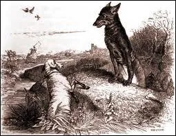 Lequel de ces titres ne correspond pas  une fable de La Fontaine ?