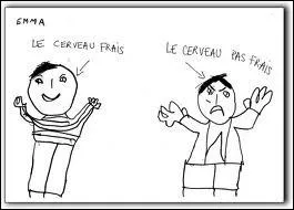  La cervelle , c'est...