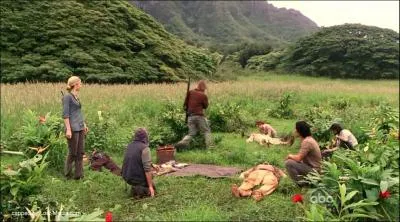  Monsieur Lafleur  : En quelle anne se sont arrts les flashs ?