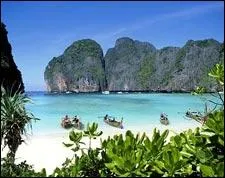 Fruit exotique / Île antillaise