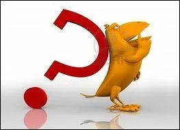 Quels sont les oiseaux les plus intelligents ?