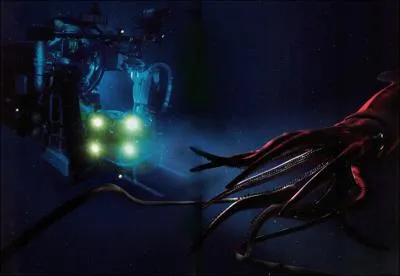 Combien de mtre peut faire le lgendaire calamar gant (Architeuthis dux) ? Contrairement au mythe c'est un animal craintif qui fuit le contact et ne se nourrit que de petits animaux.