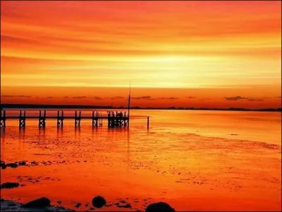 Quelle est la couleur de l'orange en anglais ?