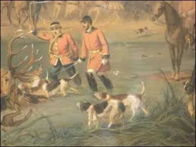 Ils planent au-dessus, sûrement pour en calculer la superficie.