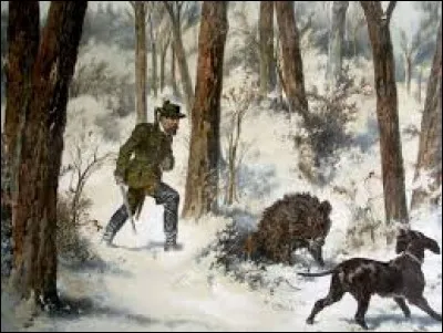 Ils pourraient servir à pendre les andouilles s'il n'étaient déjà utilisés pour affirmer la puissance des cervidés ou des chasseurs qui en font des trophées.