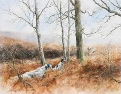 "Bizarde, vous avez dit bizarde" ? Cela se rapporte à la tête des cervidés qui est reconnaissable à ...