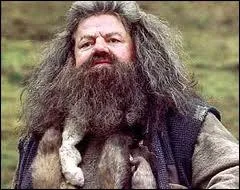 Ce personnage de la saga Harry Potter est le garde forestier de l'cole de Poudlard. Cet ami des animaux les plus tranges et les plus risqus a la particularit d'tre  demi humain et  demi ?