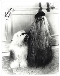 L'un des hros de la fameuse Famille Addams, qui est-ce ?