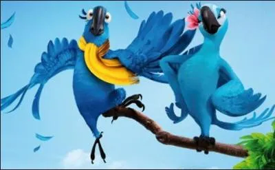 Quel est le nom de ce film d'animation ?