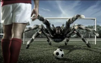 En franais, comment appelle-t-on cette action,  la fin des prolongations ?