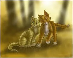 Qui accompagne Etoile de Feu dans son voyage ?