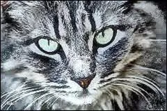 De qui tait-elle la fille ?