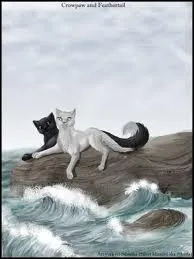 Comment rencontre-t-elle Plume Grise ?