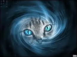 Comment Rivire d'Argent perd-elle la vie ?