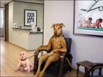 Quel animal, bien avant l'homme, a invent l'esclavagisme ?