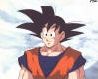 Quiz Dragon ball