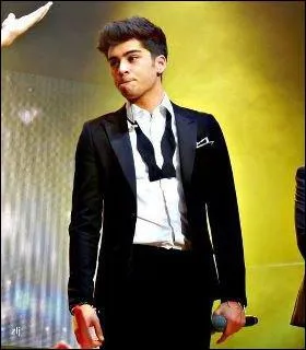 Combien Zayn a-t-il de soeur ?