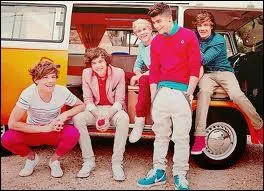 Combien de fois Louis se fait-il arrter par la police sur le tournage de  What makes you beautiful  ?