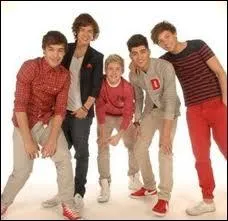 Avec qui nos 1D sont-ils partis en tourne ?