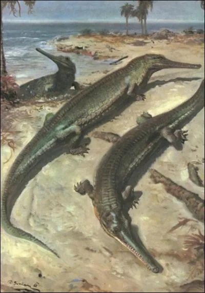 Combien le steneosaurus mesurait-il ?