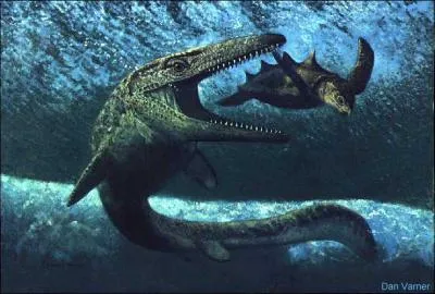 Le geosaurus est un parent direct des crocodiles.