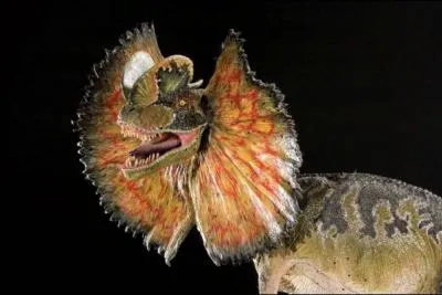 Dans le film  Jurassic park  le dilophosaurus mesure un mtre de long, il possde une collerette qu'il peut rentrer et il crache du venin sur ses proies. Est-ce raliste ?