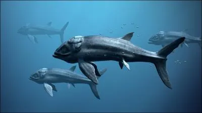 Le leedsichthys est probablement le poisson le plus gros de tous les temps, comme les requins-baleines actuels, il se nourrissait de plancton. Quelle taille a le plus gros spcimen dcouvert ?