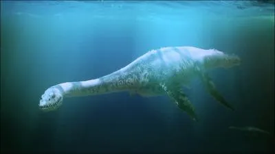 Le plsiosaurus est un reptile de 3  5 m de long. C'est aussi l'anctre des ctacs.