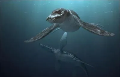 Le liopleurodon est un grand prdateur qui devait dpasser les 15 m. Toutes ces espces marines nageaient dans l'ocan Tthys. Qu'est devenu cet ocan aujourd'hui ?