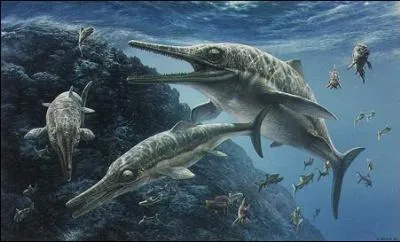 Mme s'ils n'ont aucune parent, les ichthyosaurus (comme tous les ichthyosauriens) ont la mme morphologie que. .