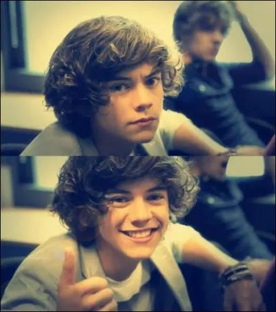 Quel est le nom complet de Harry ?