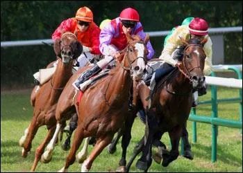 Qui ne pratique PAS l'hippisme ?