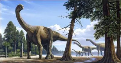 Lequel de ces sauropodes est le plus long ?