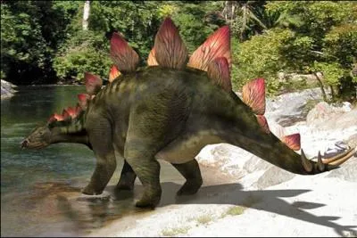 Le clbre stegosaurus est connu pour ses 17 plaques osseuses qui parcourent tout son dos et mesure plus de 9 m de long. Qu'appelle-t-on le thagomizer ?