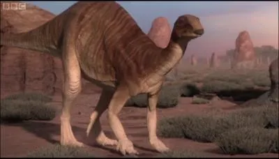 Le camptosaurus tait un dinosaure trs robuste de 6 m de long et de 500 kg dont les tendons de la colonne vertbrale tait ossifis. Quel tait son rgime alimentaire ?