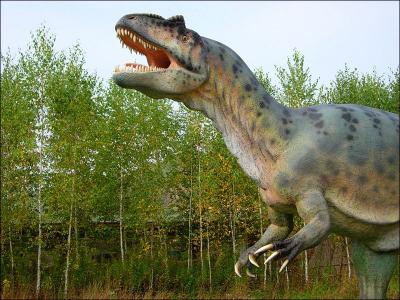 L'allosaurus est l'un des dinosaures les plus connus, plus de 38 muses en possdent un fragment ou un squelette complet et c'est le dinosaure officiel de l'Utah. Pourquoi ?