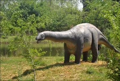 Quel est le nom de ce sauropode relativement petit (6 m de long) ? Son nom signifie  dent de volcan .